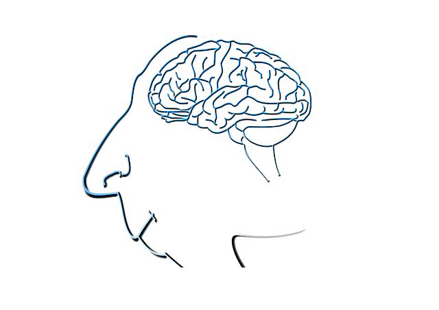 脳 思考法 能動的忘却