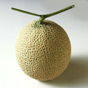 muskmelon