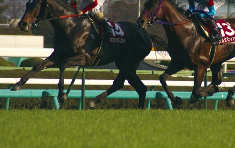 競馬 ギャンブル