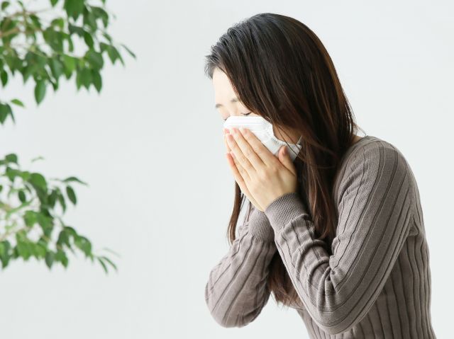 くしゃみ をする 女性