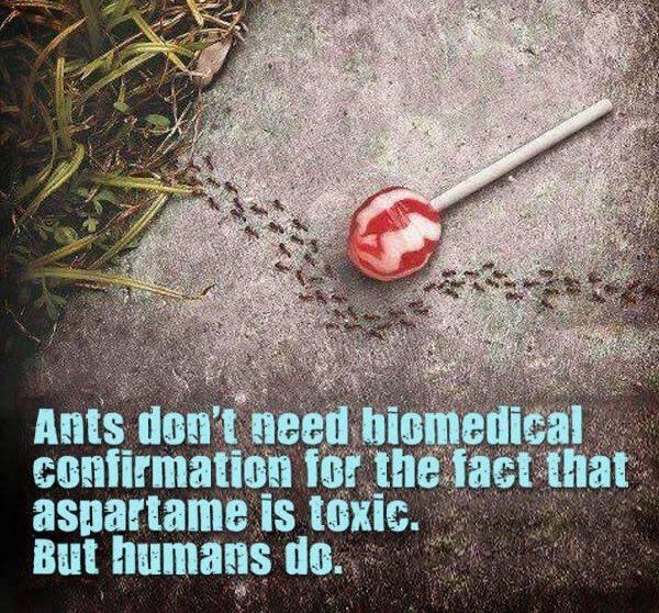 人工甘味料を避けるアリ