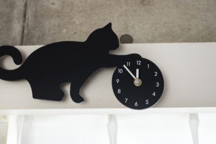 猫と時計