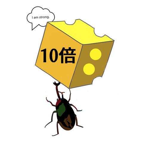 カブトムシのパワー