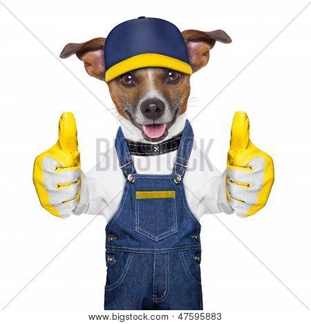 大工仕事ができる 犬