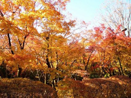 江戸城紅葉山