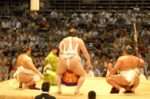 相撲 試合