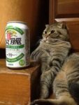 ビールの 好きな 猫