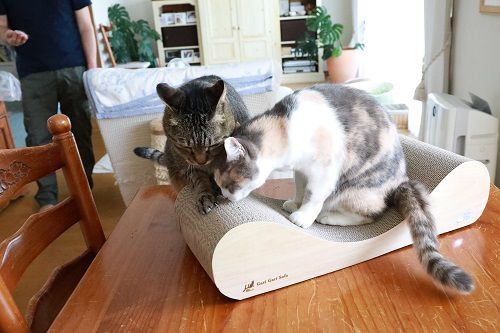 猫の爪とぎ器