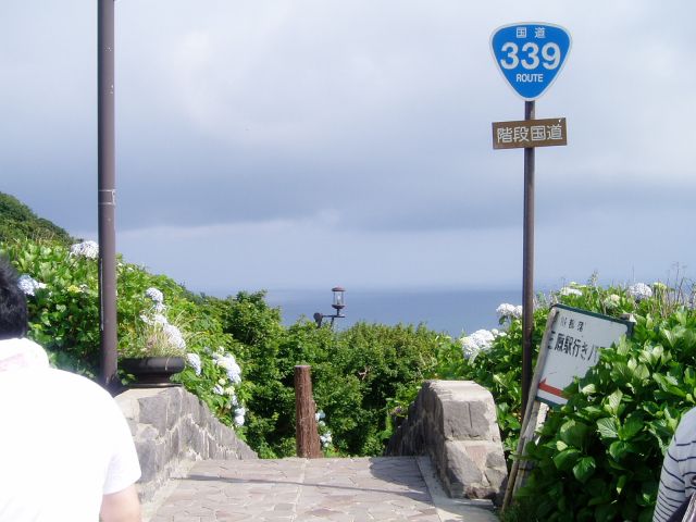 国道339号線