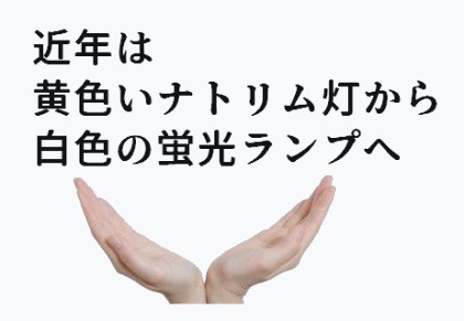近年は黄色いナトリム灯から白色の蛍光ランプへ