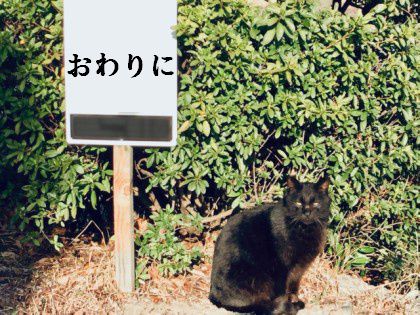 おわりに