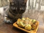 ジャガイモと猫