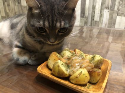 ジャガイモと猫