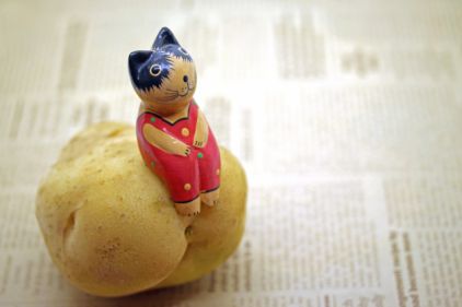 じゃがいもに座る猫