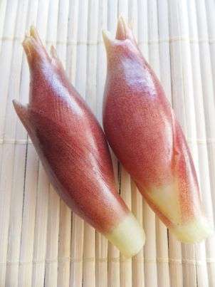 「ミョウガを食べると物忘れがひどくなる」と言われるのは何故? また、科学的根拠は?